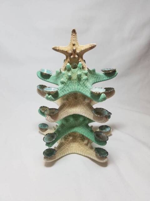 starfish Christmas Tree Decoration, Limpet Tree, Beach Table Top Green - image 1