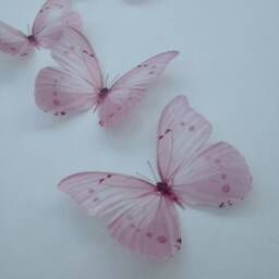 Pastel Pink 3D Butterfly Wall Decor Nursery Or Girl's Room, Set Of 6 - thumbnail 3