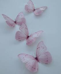 Pastel Pink 3D Butterfly Wall Decor Nursery Or Girl's Room, Set Of 6 - thumbnail 1