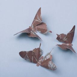 3D Butterfly Wall Art French Linen Paper Butterflies For Decor, Nursery, Children's Room - thumbnail 2