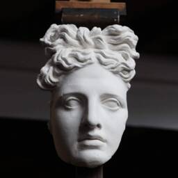 Apollo Belvedere Plaster Cast, Roman Wall Sculpture - thumbnail 3