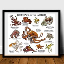Octopus Of The World Poster Print - Signed By Artist - thumbnail 2