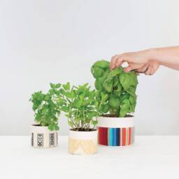 Medium Natural Canvas Hanging Planter - Orange - thumbnail 4