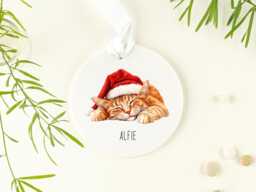 Personalised Ginger Cat Ceramic Christmas Tree Ornament, Cat, Orange Decorations, Perfect Gift For A Owner - thumbnail 1