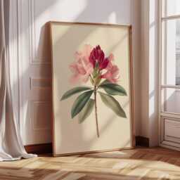 Pink Watercolor Rhododendron Art, Flower Print, Botanical Wall Art Illustration, Still Life Painting - thumbnail 1