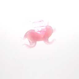 37-251S Charlotte The Flying Pig - thumbnail 2