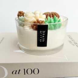 Succulent Candle, Cactus & Succulent Garden Terrarium 3 Wick Candles, Luxury Fragranced Candle. Cacti Terrarium 450 Grams - thumbnail 2