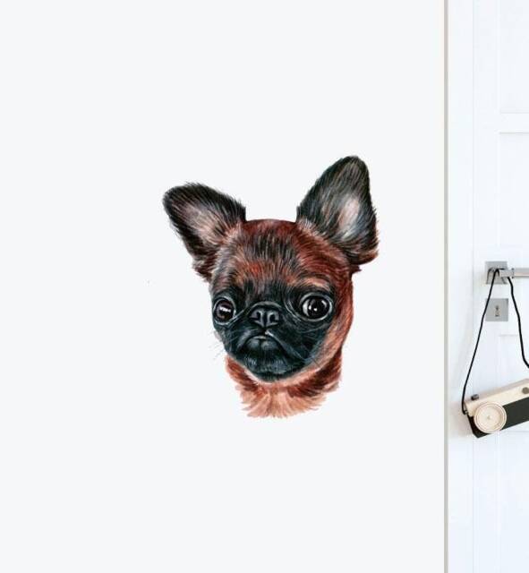 Chocolate & Tan Chihuahua Wall Sticker Decal - Dogs & Pets Stickers, Art, Decals, Kids Animals Decals