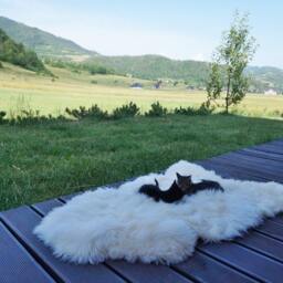 Original Big Xl White Genuine Natural Sheepskin Rug Exclusive Rug, Large Cat Bed, Woolen Bed Mat, Pet - thumbnail 3