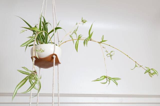 Two Tier Indoor Hanging Plant Hanger Leather Jungle Air Macrame Minimal 3rd Anniversary Decor Gift For Her - image 1