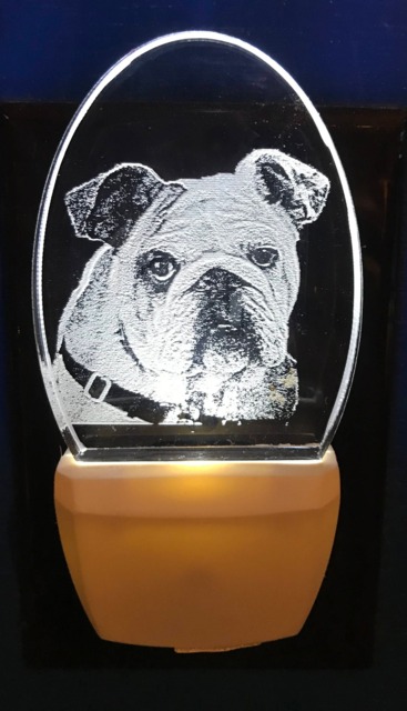 Bulldog Nightlight Etched On Clear Glass Like Acrylic Designed By Deborah Houser Personalized Free Led With 8 Color Options - image 1