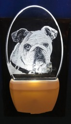 Bulldog Nightlight Etched On Clear Glass Like Acrylic Designed By Deborah Houser Personalized Free Led With 8 Color Options