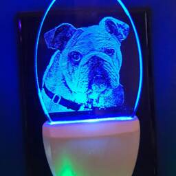 Bulldog Nightlight Etched On Clear Glass Like Acrylic Designed By Deborah Houser Personalized Free Led With 8 Color Options - thumbnail 3