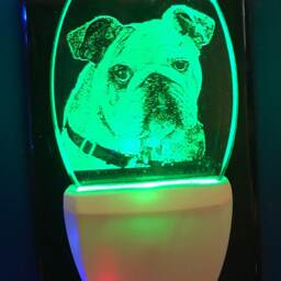 Bulldog Nightlight Etched On Clear Glass Like Acrylic Designed By Deborah Houser Personalized Free Led With 8 Color Options - thumbnail 2
