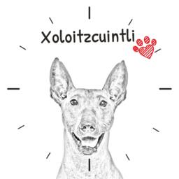 xoloitzcuintli, Mexican Hairless Dog, Free Standing Mdf Floor Clock With An Image Of A Dog - thumbnail 2