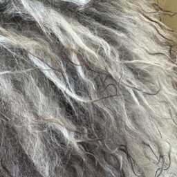 xl Large Icelandic Sheepskin Rug Long Curly Wool, Natural Undyed Grey/Silver/White/Ivory/Black/Brown - thumbnail 2