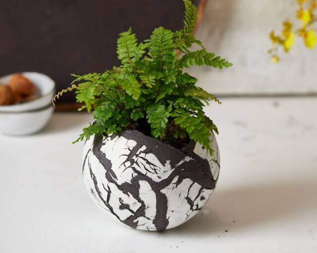 Large Black & White Ceramic Planter For Succulent Or Flowers, Round Decorative Boho Chic Vase, Pot Living Room - image 1