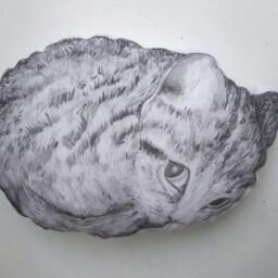 Hand-Painted Cat Plush Pillow, Nursery Decor, Baby Shower Gift - thumbnail 4