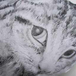 Hand-Painted Cat Plush Pillow, Nursery Decor, Baby Shower Gift - thumbnail 2