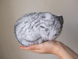 Hand-Painted Cat Plush Pillow, Nursery Decor, Baby Shower Gift - thumbnail 1