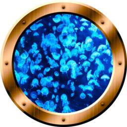 Underwater Blue Jellyfish Window Porthole Wall Decal Peel & Stick Under Water Marine Life - Vwaq Bp28 - thumbnail 2