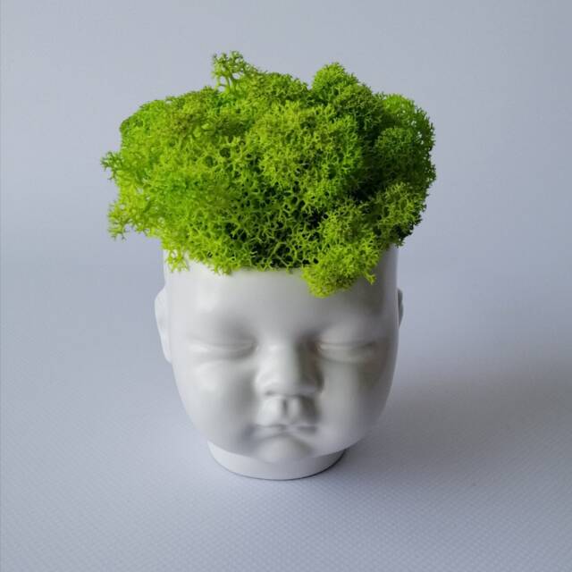Cute Planter, Face Plant Pot, Plant Pot, Indoor Stand, Succulent Salon Decor - image 1