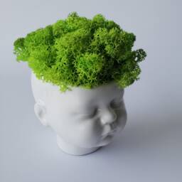 Cute Planter, Face Plant Pot, Plant Pot, Indoor Stand, Succulent Salon Decor - thumbnail 2
