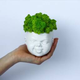 Cute Planter, Face Plant Pot, Plant Pot, Indoor Stand, Succulent Salon Decor - thumbnail 4