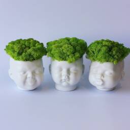 Cute Planter, Face Plant Pot, Plant Pot, Indoor Stand, Succulent Salon Decor - thumbnail 3