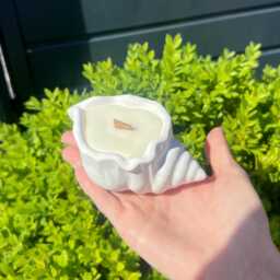 Handmade Conch Shell Candle Scented Soy Wax, Stone Seashell - thumbnail 3