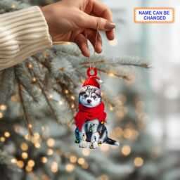 Custom Name Cute Sitting Husky Dog With Santa Hat Christmas Lights Ornament, Tree Hanging Decor, Flat 2D Ornament - thumbnail 3