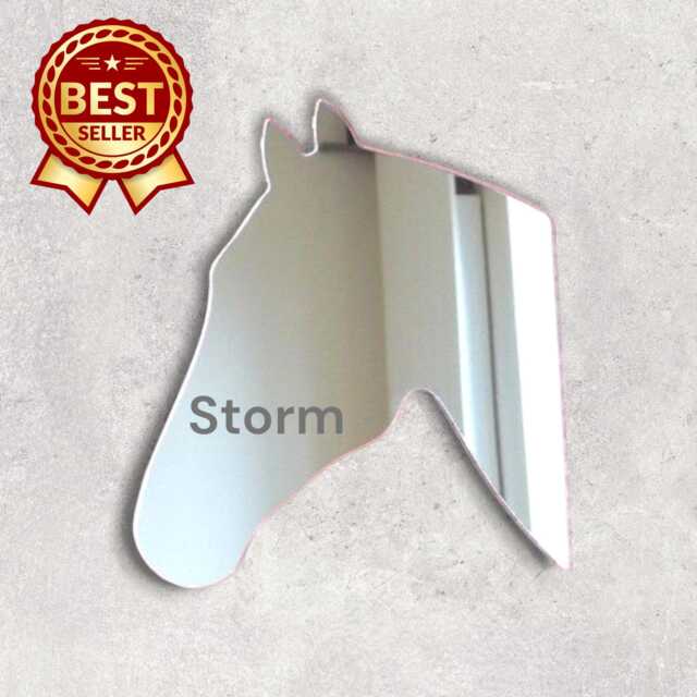 Horse Head Acrylic Mirror Wall Art Personalized Engraving Options - image 1