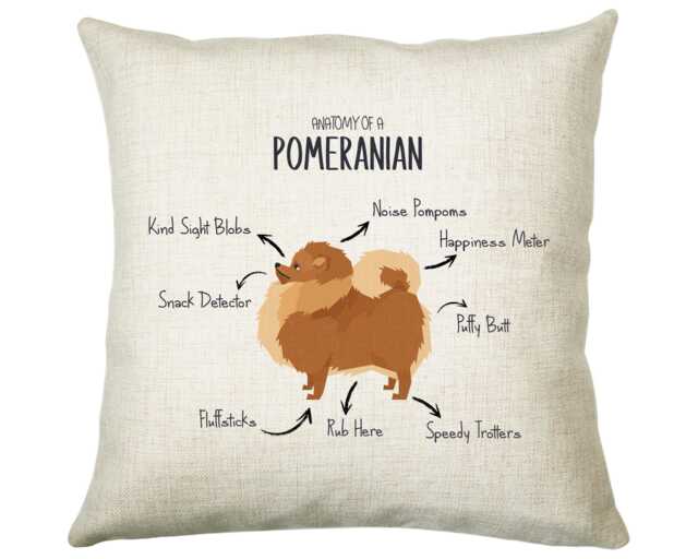 Anatomy Of A Pomeranian Funny Gift For Him Or Her Cushion Pillow Bedroom Decor Cs407 - image 1