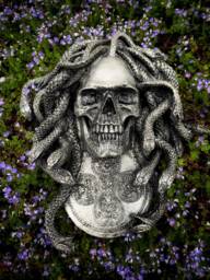 Medusa Skull Wall Plaque, Hand Painted Resin Sculpture - Mythic Gothic Art Plaque For & Fantasy Home Decor, 10 - thumbnail 1