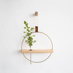 Wall Hook For Hanging Plants Propagation Station Propagating Plant Holder Shelves Plant Holder