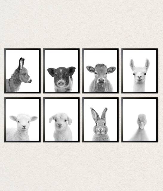 Farm Animal Nursery Prints Black & White Farmhouse Decor - Set Of 8 - image 1