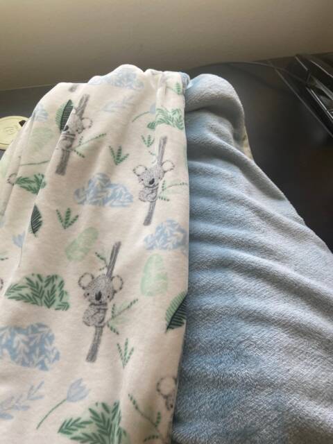 Baby Blankets Galore. Just Tell Me The Design & Color Selections Are Endless Soft Cozy Blankets - image 1