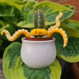 Miniature Octopus, Plant Pot Decoration, Glow-In-The-Dark Kraken. Mini Decor. Home Decoration