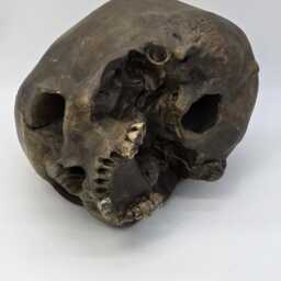 The Devil . Human Skull Replica Realistic Plaster Of Paris Life Size Human Replica - thumbnail 4
