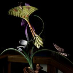 Vanitas - thumbnail 2