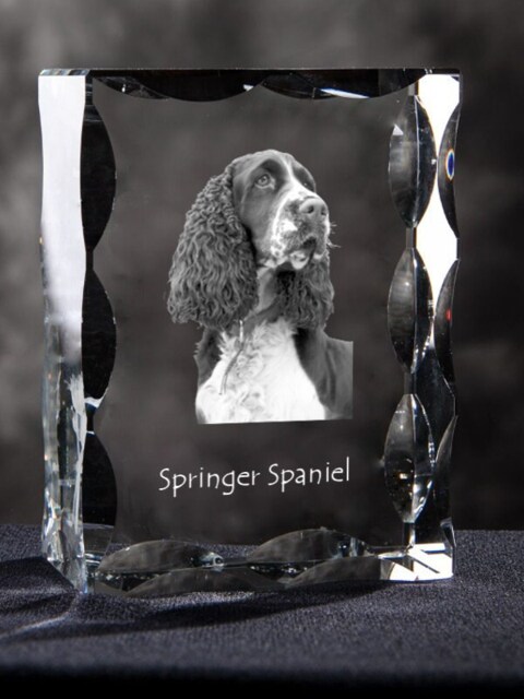 Springer Spaniel, Cubic Crystal With Dog, Souvenir, Decoration, Limited Edition, Collection - image 1