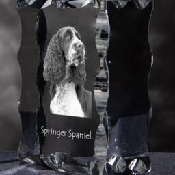 Springer Spaniel, Cubic Crystal With Dog, Souvenir, Decoration, Limited Edition, Collection - thumbnail 2