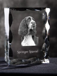 Springer Spaniel, Cubic Crystal With Dog, Souvenir, Decoration, Limited Edition, Collection - thumbnail 1
