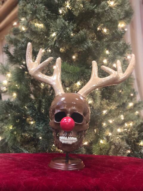 Reindeer Skull - image 1