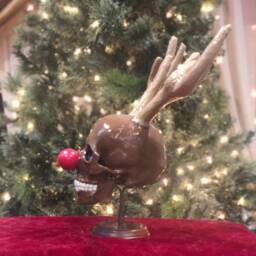 Reindeer Skull - thumbnail 4