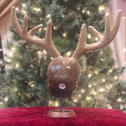 Reindeer Skull - thumbnail 3