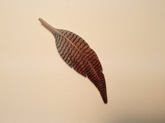 Hand Carved American Wigeon Feather With Magnet - image 1