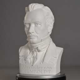 Alexander Von Humboldt 35 cm Bust - Busts With Personality - thumbnail 3