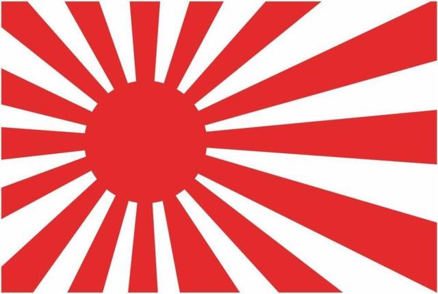 Rising Sun Decor Vinyl Decal Car Van Bonnet Side Sticker Hood Graphic Sign Motorhome Campervan Wall Art
