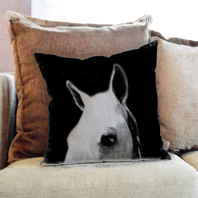 Horse Animal Photography - Decorative Pillow Throw Cushion Fabric , Case Cover Or With Filling